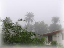 Early Morning Due in Mount Abu - Hotels in Mount Abu